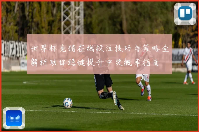 世界杯竞猜在线投注技巧与策略全解析助你稳健提升中奖概率指南