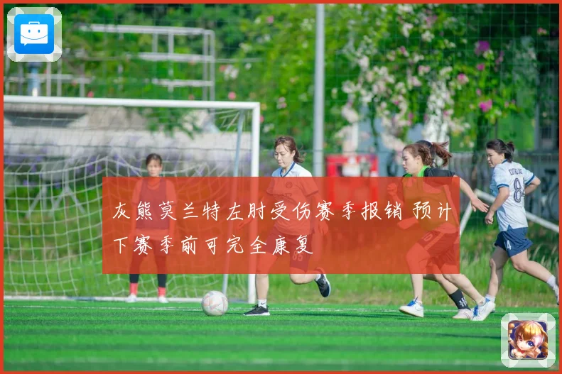 灰熊莫兰特左肘受伤赛季报销 预计下赛季前可完全康复